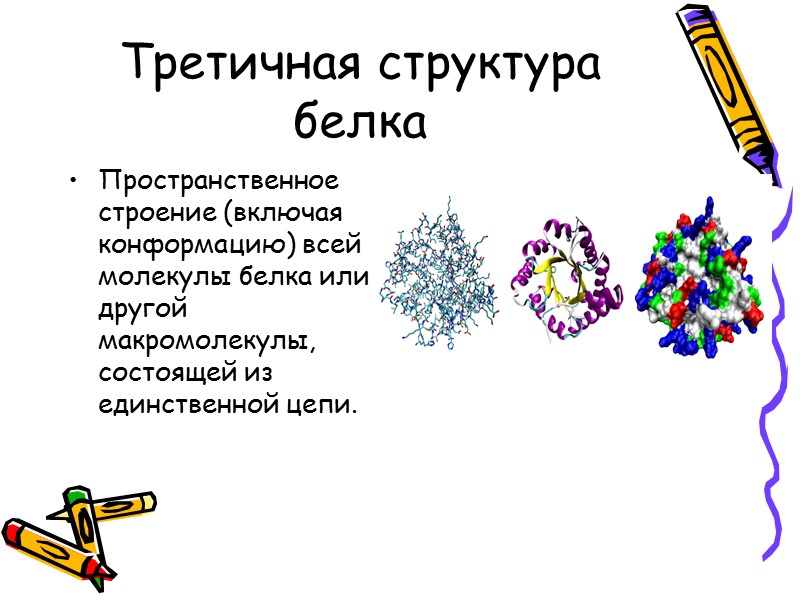 Третичная структура белка Пространственное строение (включая конформацию) всей молекулы белка или другой макромолекулы, состоящей